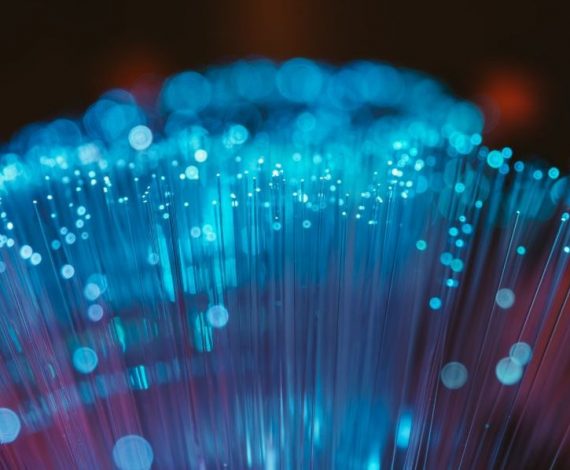 Fiber